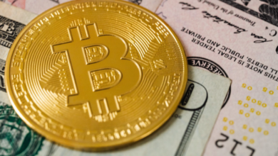 Bitcoin Cash (BCH) stürzt mit dem Markt ab, aber wird es sich erholen?