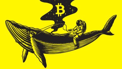 Bitcoin Whale bewegt sich abrupt über 600.000.000 $ in BTC – hierhin geht die riesige Krypto-Fundgrube