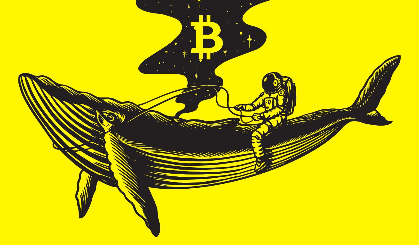 Bitcoin Whale bewegt sich abrupt über 600.000.000 $ in BTC – hierhin geht die riesige Krypto-Fundgrube