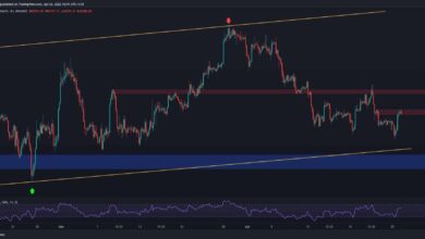 Bitcoin kämpft um 40.000 $, aber wurde der lokale Tiefststand bestätigt? (BTC-Preisanalyse)