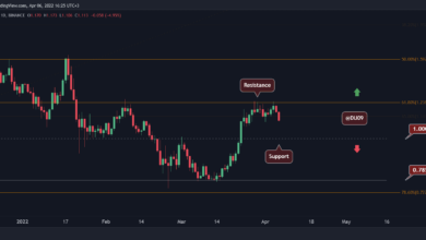 Cardano verliert täglich 8 %, ist 1 $ in Sicht?