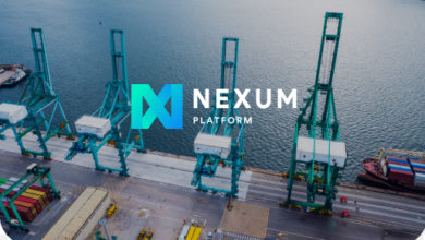 Crypto Nexum (NEXM) ist heute nach einer harten Woche um 181 % gestiegen