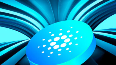 Das Ökosystem von Cardano (ADA) explodiert, da Hunderte neuer Projekte entstehen: IOHK