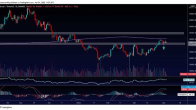 Ist BTC nach dem Einbruch unter 45.000 $ bereit, höher zu steigen?