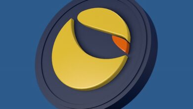 Ist der Krypto-Pullback eine gute Gelegenheit, Terra LUNA Coin zu kaufen?