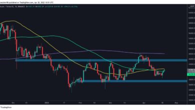 Ist nach dem zweitägigen Anstieg auf 42.000 $ der lokale Tiefststand bestätigt? (Bitcoin-Preisanalyse)