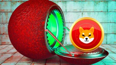 Laut Analyst schlafen Krypto-Händler auf dem Dogecoin-Konkurrenten Shiba Inu – hier ist seine Strategie
