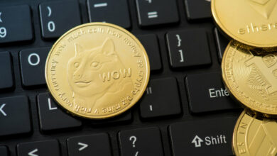 Memecoins, die Sie am 28. April nicht verpassen sollten: BABYDOGE, FLOKI und KISHU