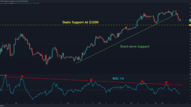 Nach einem täglichen Crash von 5 % ist hier die nächste Unterstützung für Bitcoin (Preisanalyse)