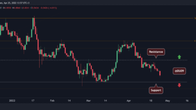 Nach einem wöchentlichen Einbruch um 7 % ist hier die nächste Unterstützung für Cardano