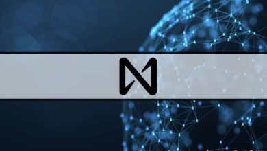 Near Protocol sammelt 350 Millionen US-Dollar in einer von Tiger Global geleiteten Finanzierungsrunde (Bericht)