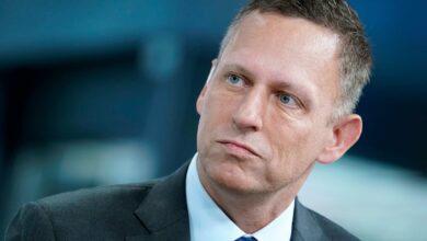 Nur Pro-Blockchain zu sein, ist ein Anti-Bitcoin-Ansatz, sagt PayPal-CEO Peter Thiel