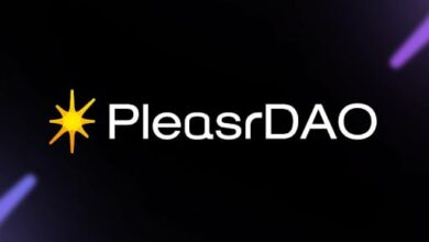 PleasrDAO arbeitet mit der Amber Group, DeFi-Führungskräften, frühen NFT-Sammlern und digitalen Künstlern zusammen