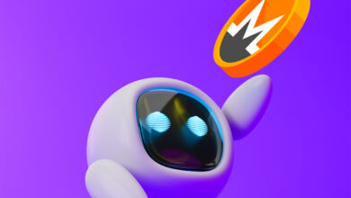 Privacy Coin Monero (XMR) übertrifft den größten Teil des Kryptomarktes vor dem Upgrade