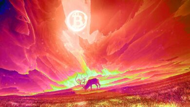 Quant Analyst Plan B sagt, dass Bitcoin derzeit die beste Gelegenheit für Bullen in der gesamten Geschichte von BTC darstellt