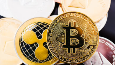 Ripple CEO Brad Garlinghouse ruft Bitcoin-Maximalisten aus