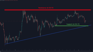 Ripple Verliert $0,8, hier ist die nächste Unterstützung
