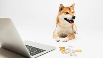 SHIB und ELON: Lohnen sich diese Dogecoin-Alternativen?