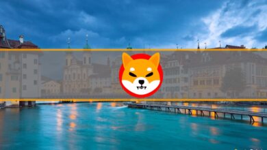 Shiba Inu von Schweizer Beratungsunternehmen als Zahlungsmittel akzeptiert