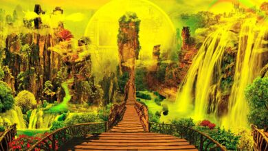 So werden die Krypto-Märkte laut Makro-Guru Raoul Pal in fünf Jahren aussehen