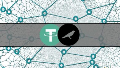 Tether gibt den Start von USDT auf Kusama bekannt