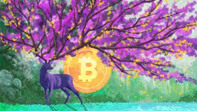 Top-Händler warnt Bitcoin-Bullen und sagt, dass sich BTC nähert