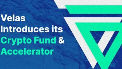 Velas stellt seinen 250-Millionen-Dollar-Fonds und sein Accelerator-Programm vor