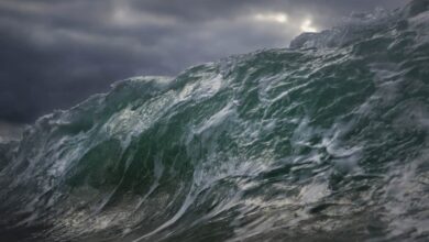 Waves Stablecoin USDN fällt um 10 %, Gründer beschuldigt Alameda der Preismanipulation