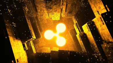 XRP vs. SEC: Hier ist der Grund, warum die US-Aufsichtsbehörde ins Visier genommen wurde RippleLaut Coin Bureau Host