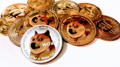 Tesla mit Dogecoin aufladen ⇒ Wow oder nur Werbegag