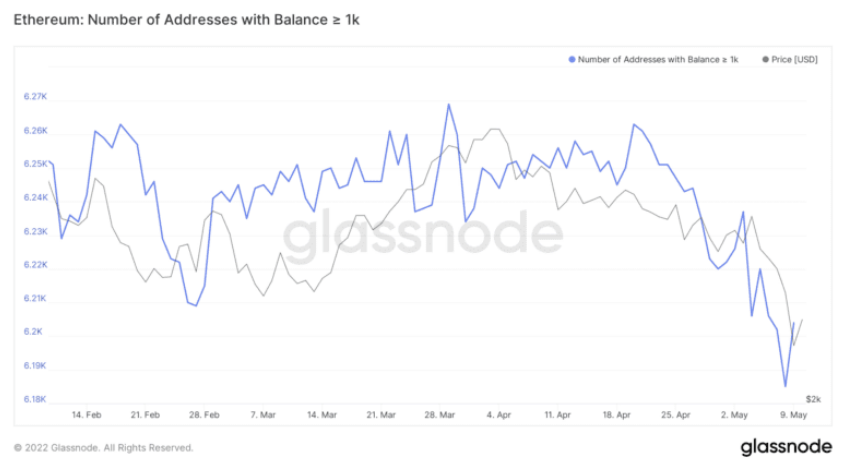 Ethereum  - Anzahl der Adressen mit mehr als 1.000 Guthaben.