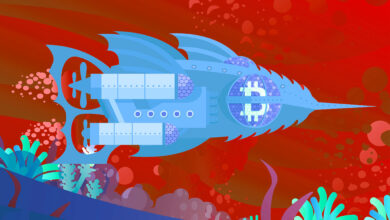 $3.910.000.000 Bitcoin Whale tritt inmitten von Crypto Bounce in den massiven BTC-Akkumulationsmodus ein