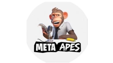 Meta Apes startet auf BNB-Anwendungs-Sidechain, um Spielern das Beste aus Web 2.0- und Web 3.0-Gaming zu bieten
