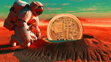 Bitcoin (BTC)-Bulle Mike Novogratz warnt Krypto-Händler und sagt, dass Altcoins von einem weiteren Rückgang um 70 % bedroht sind