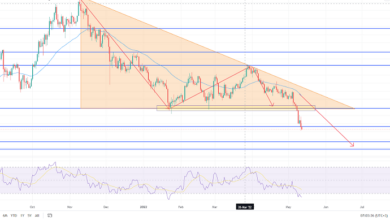 Bitcoin-Preisvorhersage – Kann BTC auf 24.000 $ fallen?