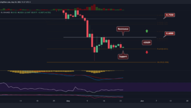 Cardano bei Critical Support, sind 0,40 $ in Sicht?