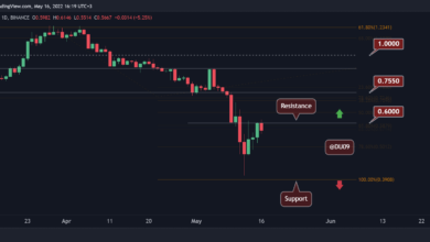Cardano steigt ab dem 12. Mai um 50 % Crash, ist die Talsohle erreicht?