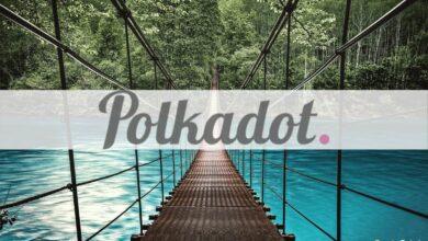 Das Polkadot XCM-Format geht live und ermöglicht NFT-Funktionalitäten