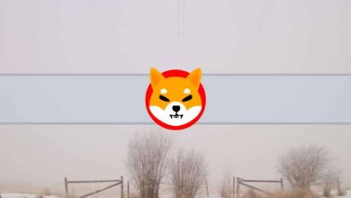 Der anonyme Schöpfer von Shiba Inu (SHIB) löscht alle Tweets und Blogs