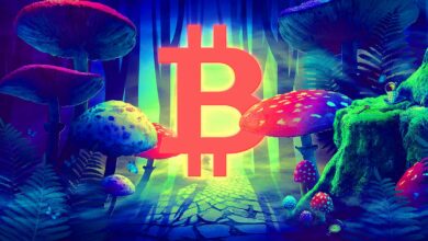 Der erfahrene Trader Tone Vays sagt, dass Bitcoin schrecklich aussieht, enthüllt das Kursziel und das Datum für den BTC-Boden