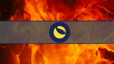 Do Kwon rät davon ab, LUNA Tage nach dem Teilen einer Burn-Adresse zu verbrennen