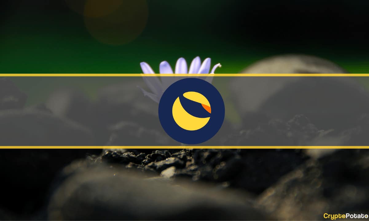 Do Kwons umstrittener Vorschlag für Terras „Rebirth“ genehmigt, Startdatum bekannt gegeben