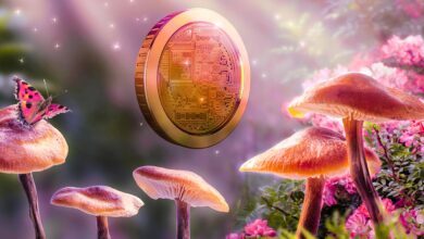 Einer der explosivsten Altcoins des Jahres 2022 steht kurz davor, von einer Klippe zu steigen, warnt Top-Krypto-Händler