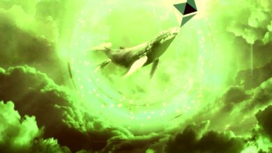 Ethereum Wale haben in nur 10 Tagen 407.415.040 $ in ETH angesammelt: Analysefirma Santiment