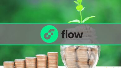 Flow hat einen Fonds in Höhe von 725 Millionen US-Dollar aufgelegt, der von a16z, DCG, Coatue unterstützt wird