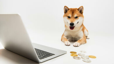 Kampf der Memecoins: DOGE oder SHIB kaufen?
