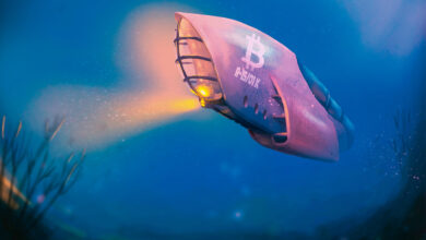 Kryptoanalyst sagt, dass Bitcoin (BTC) nach sechs Wochen in Rot den Tiefpunkt in Sicht hat – hier ist sein Kursziel und sein Datum