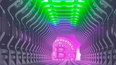 Laut Quant Analyst haben Krypto-Insider Bitcoin im Wert von 2.500.000.000 USD an Binance geschickt – sind sie mit dem Verkaufen fertig?