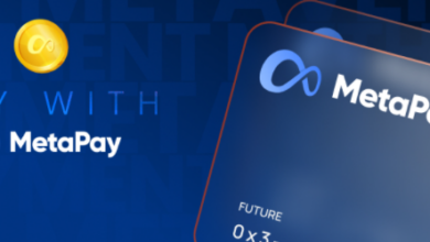 MetaPay (METAPAY) boomt wieder, aber wird es bald abstürzen?