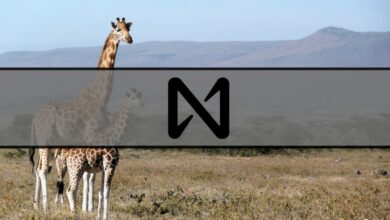 Near Foundation gründet Blockchain-Hub in Kenia: Bericht